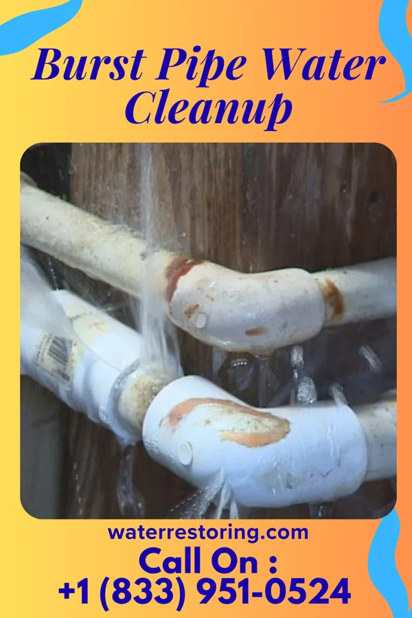 Burst Pipe Water Cleanup in Dakota Dunes, SD