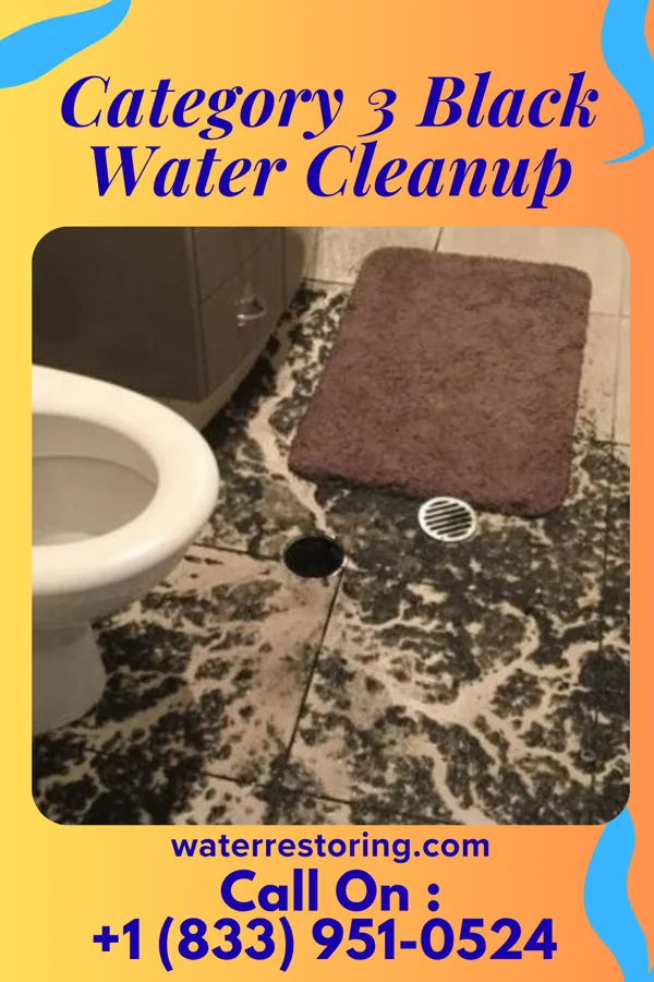Category 3 Black Water Cleanup in Dakota Dunes, SD